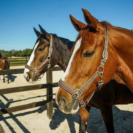 Vmg Horse Ranch (Adults Only) Villa Llucmajor  Buitenkant foto