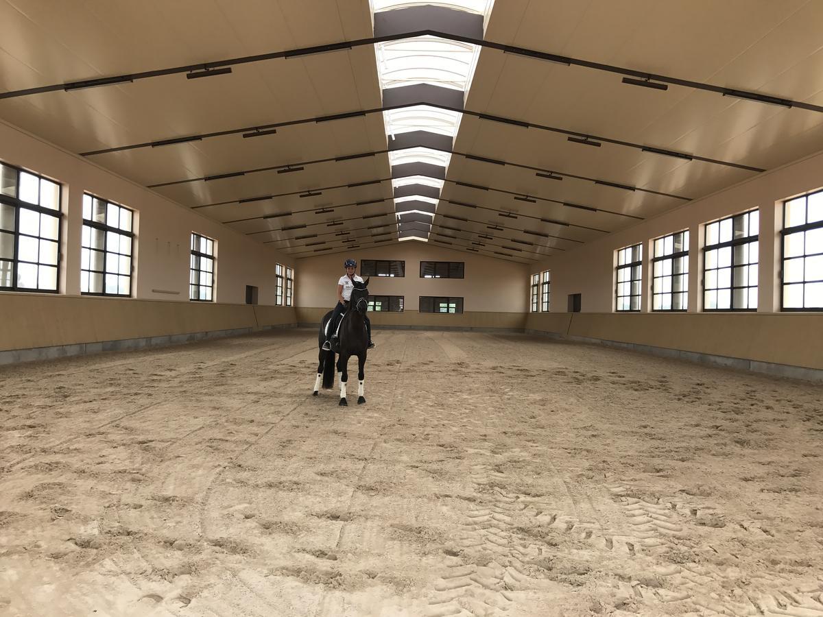 Vmg Horse Ranch (Adults Only) Villa Llucmajor  Buitenkant foto