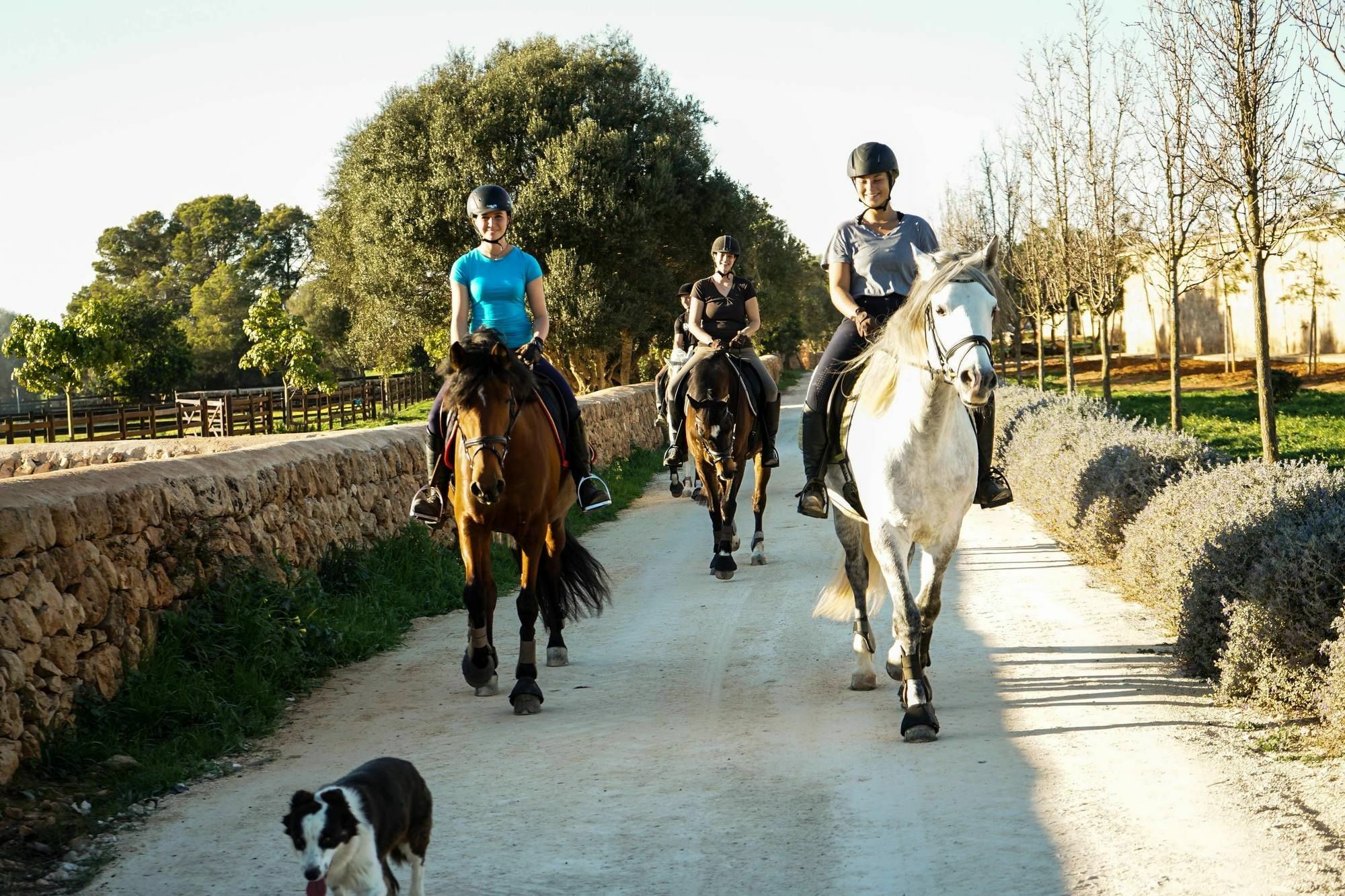 Vmg Horse Ranch (Adults Only) Villa Llucmajor  Buitenkant foto