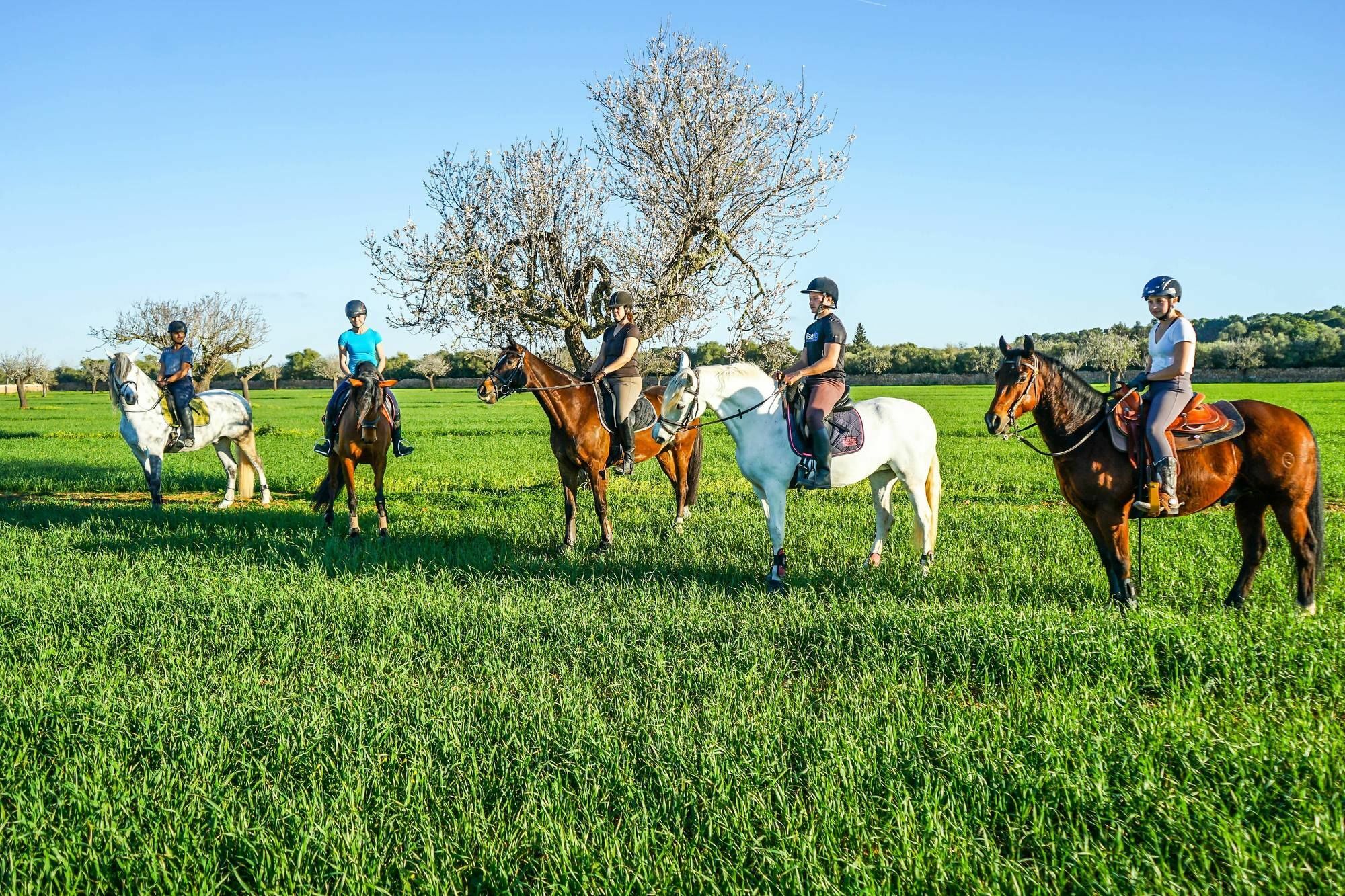 Vmg Horse Ranch (Adults Only) Villa Llucmajor  Buitenkant foto