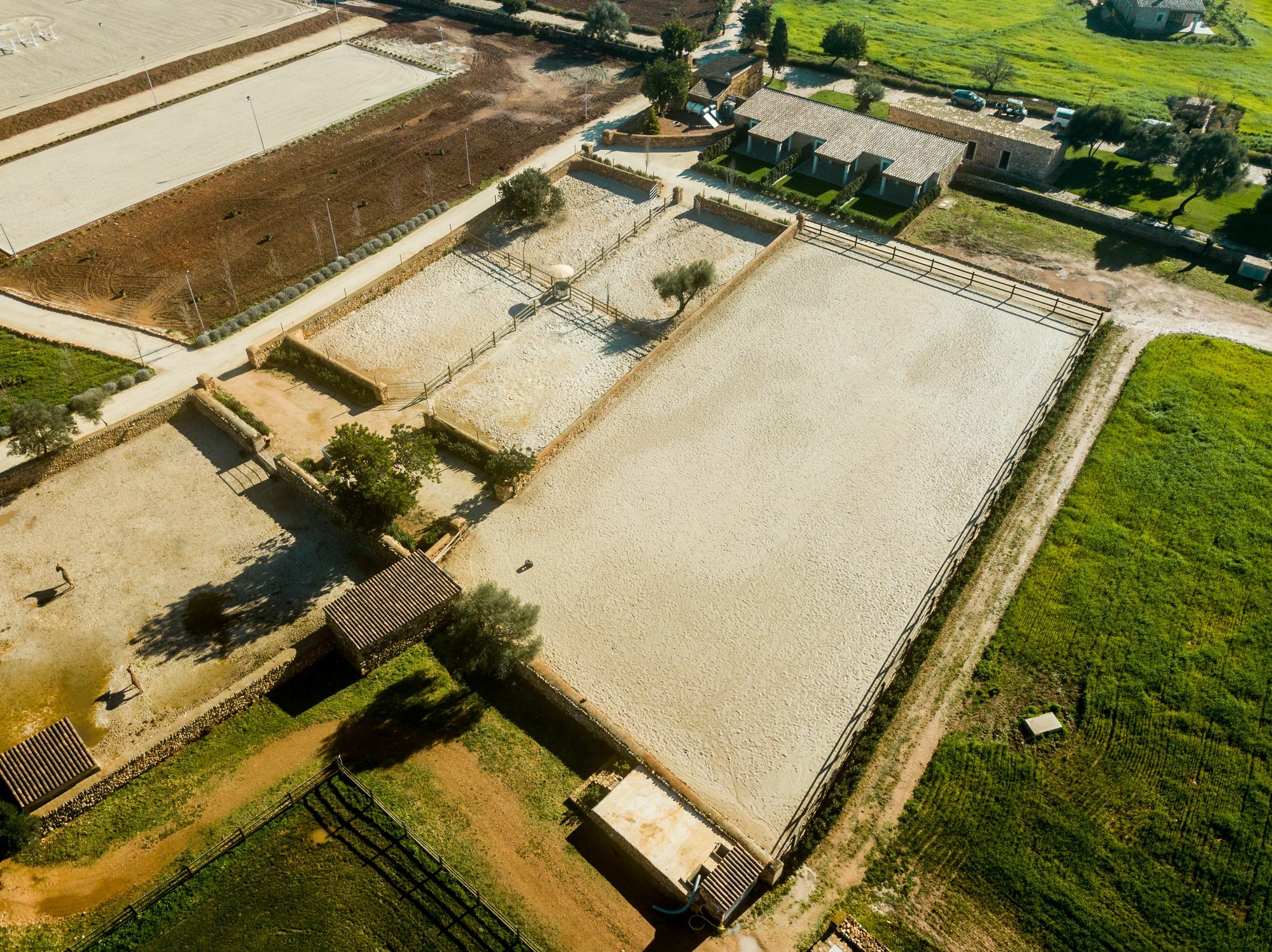 Vmg Horse Ranch (Adults Only) Villa Llucmajor  Buitenkant foto